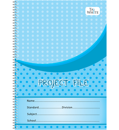 Project File 29.7 x 21 cm - Single Ine/ Colour Pg Pg 40
