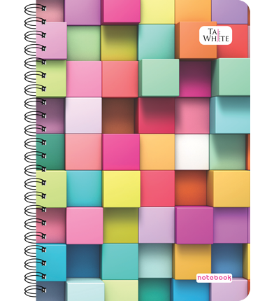 Wire-O Notebook A4 (29.7 x 21 cm)-5 Subject/ Single Line Pg-300